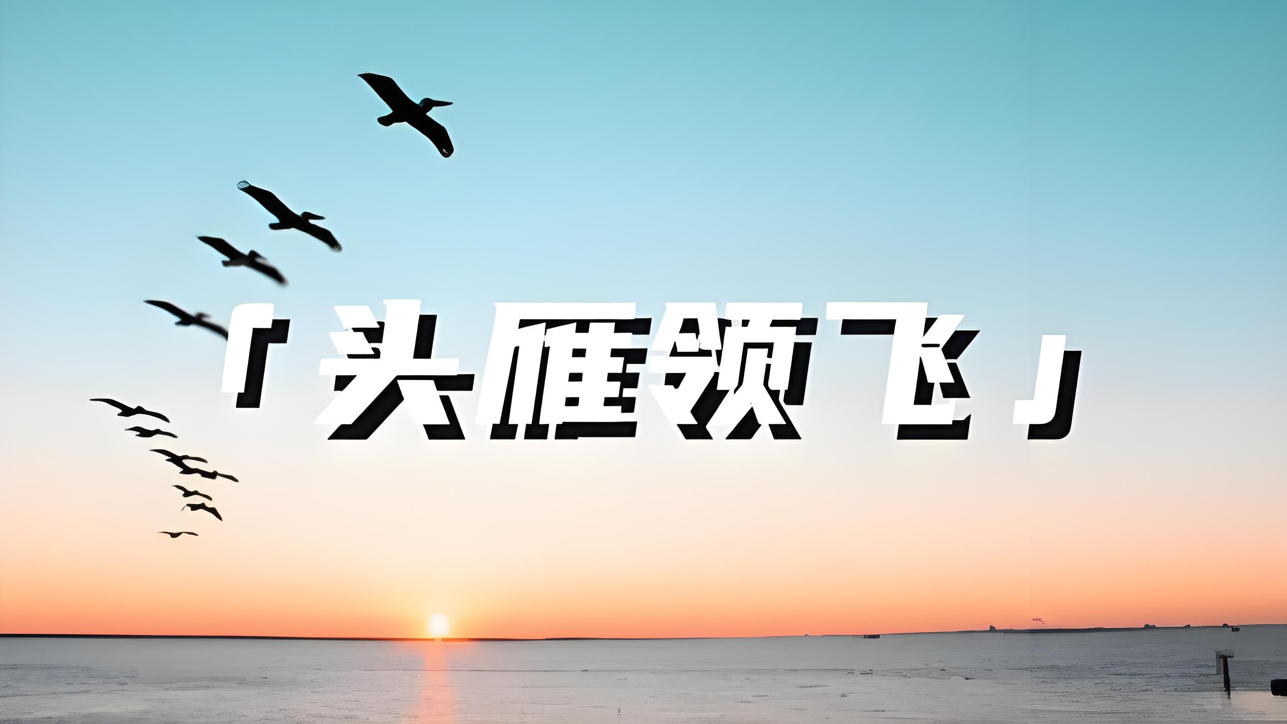 头雁展翅飞 振兴加速度