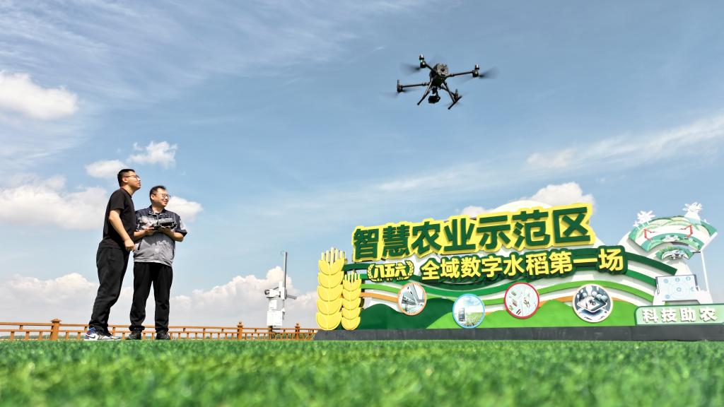 科技赋能解锁插秧“新姿势”