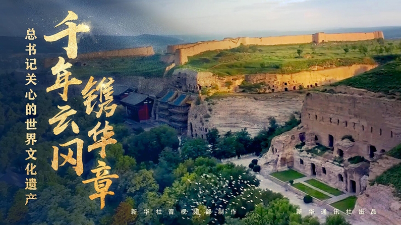 总书记关心的世界文化遗产丨千年云冈镌华章